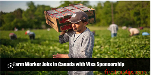 Farm Work Jobs In Canada