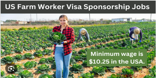 US Farm Worker Visa Sponsorship Jobs 2023